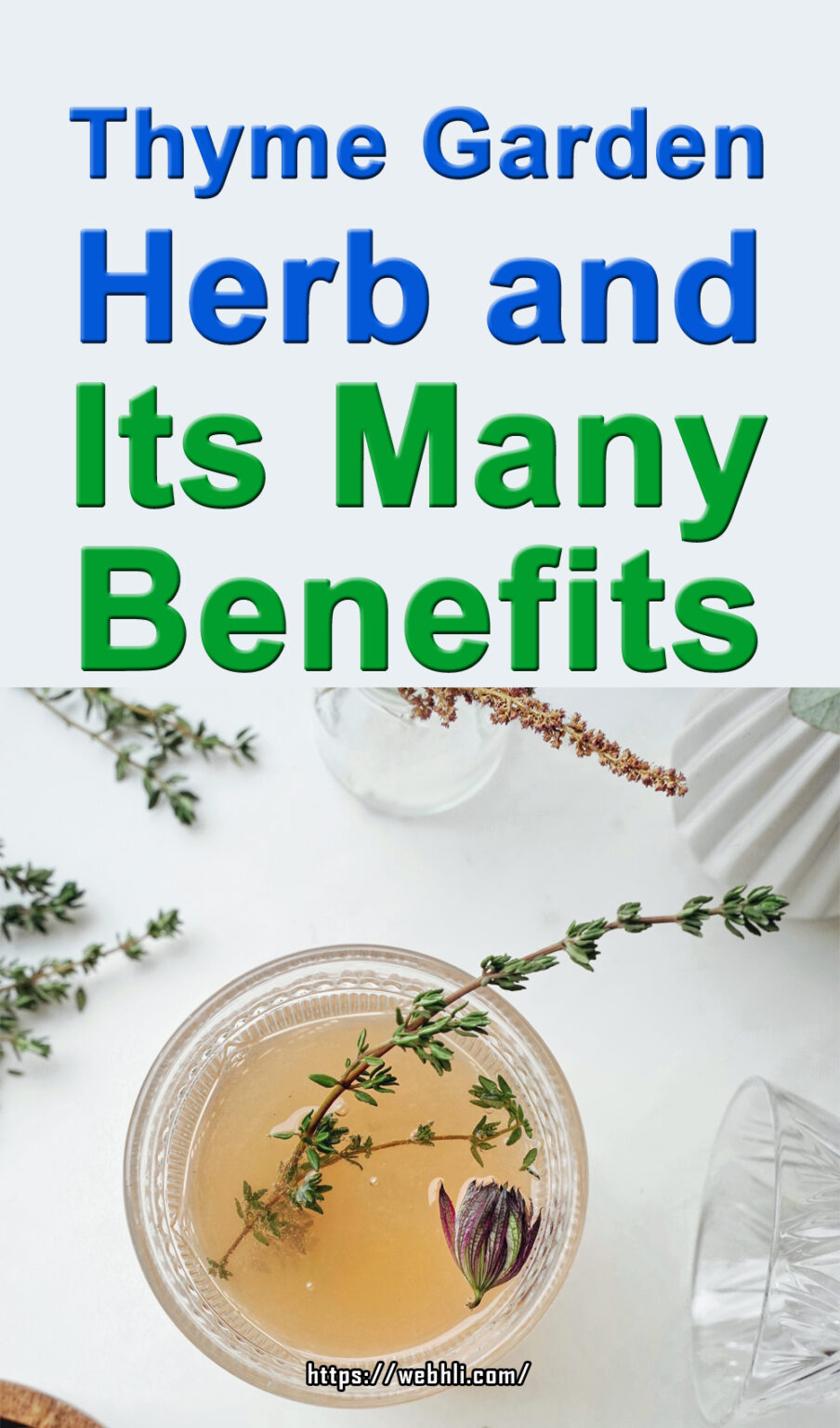 Thyme Garden Herb and Its Many Benefits Some tasty